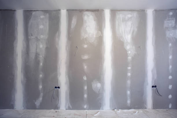 Best Drywall Texturing  in Orlinda, TN